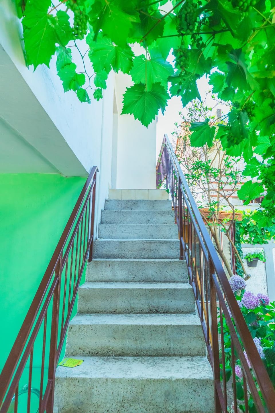 Rooms Lilic with Bath and Kitchen Apartment in Ulcinj Municipality