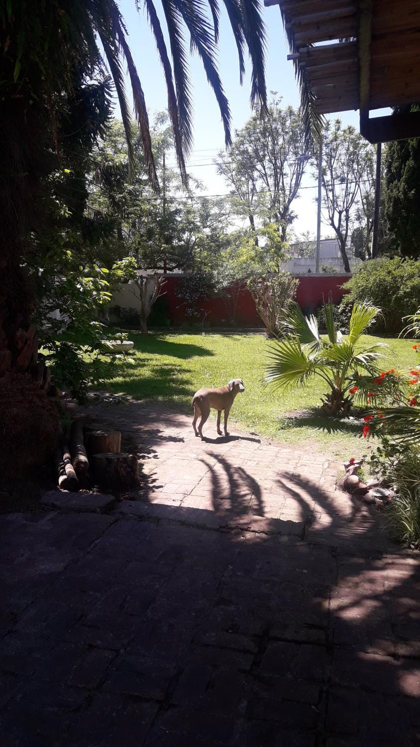 Garden, Pets