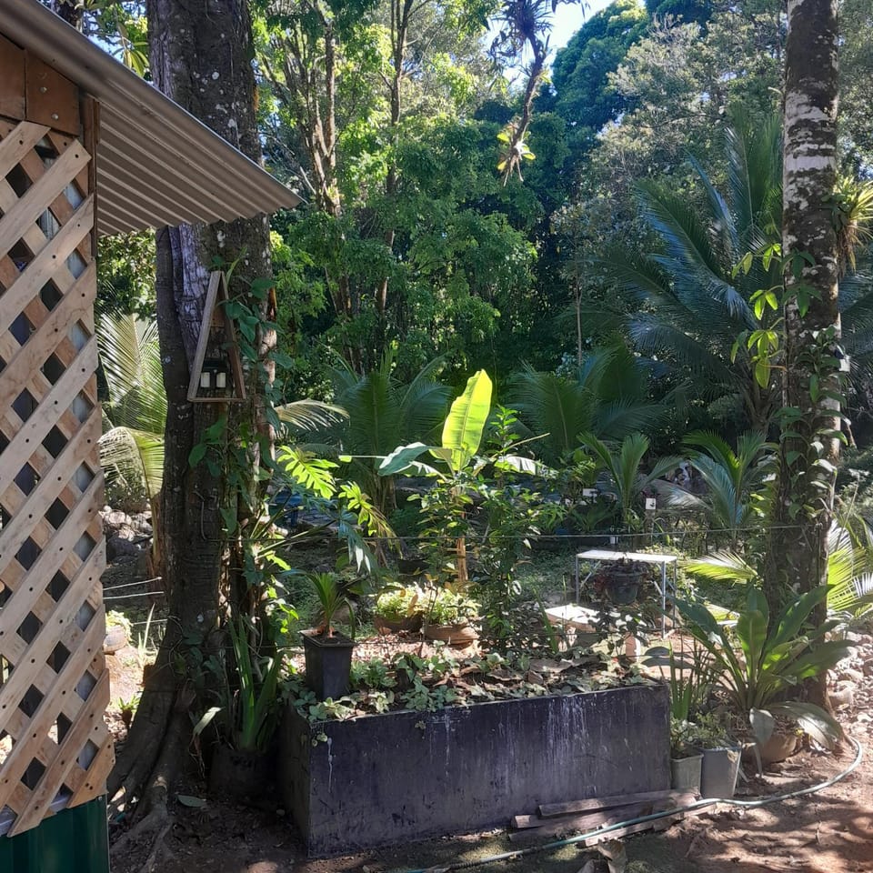 cataleya spring cabins Cabin in Alajuela Province