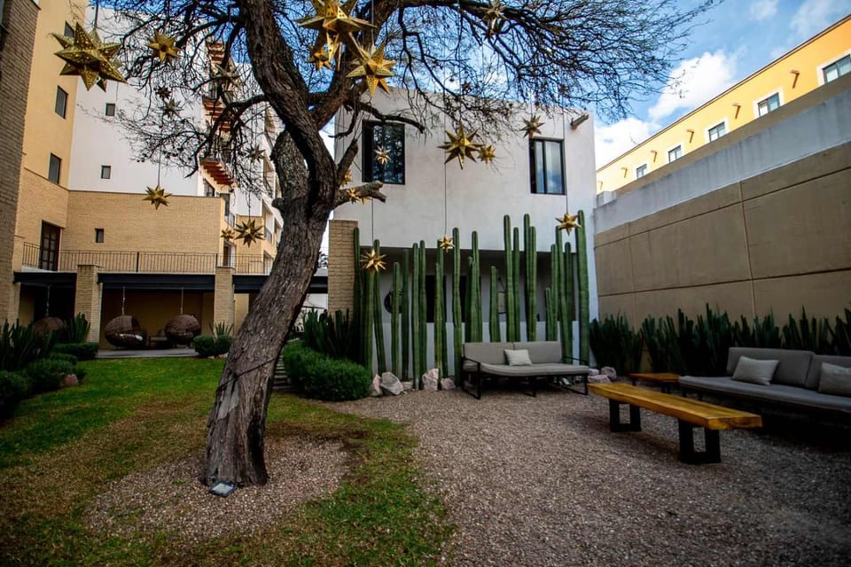 Property building, Day, Garden view