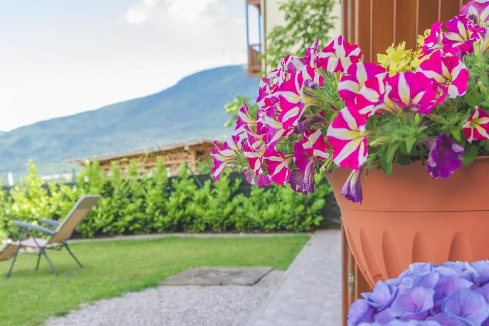 Spring, Garden, Garden view