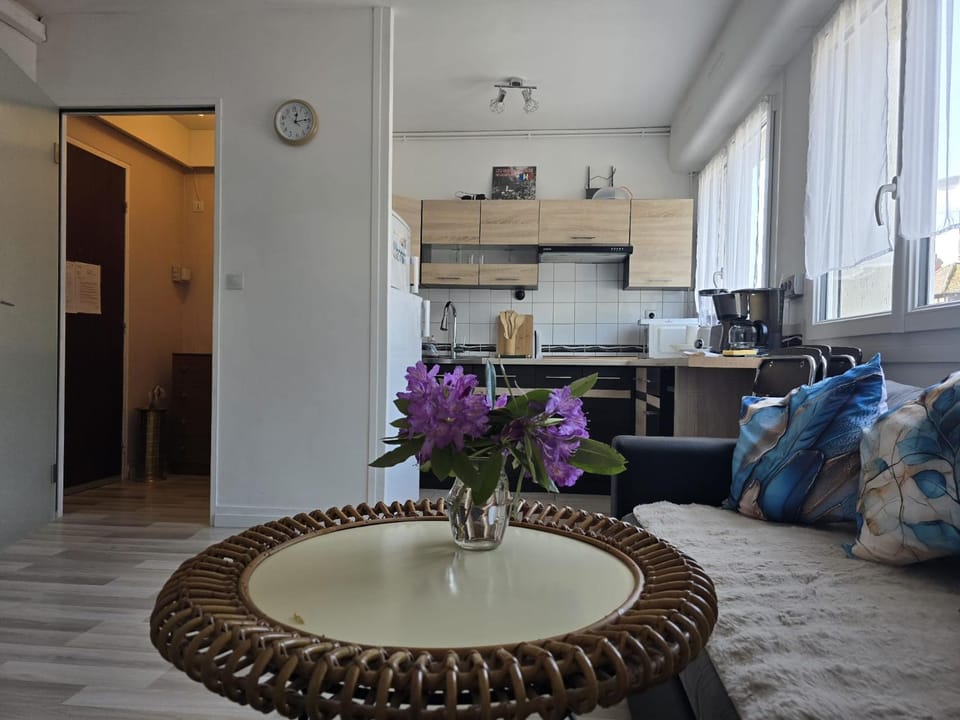 Charmant T2 a deux pas des Thermes Apartment in Bagnoles de l'Orne Normandie