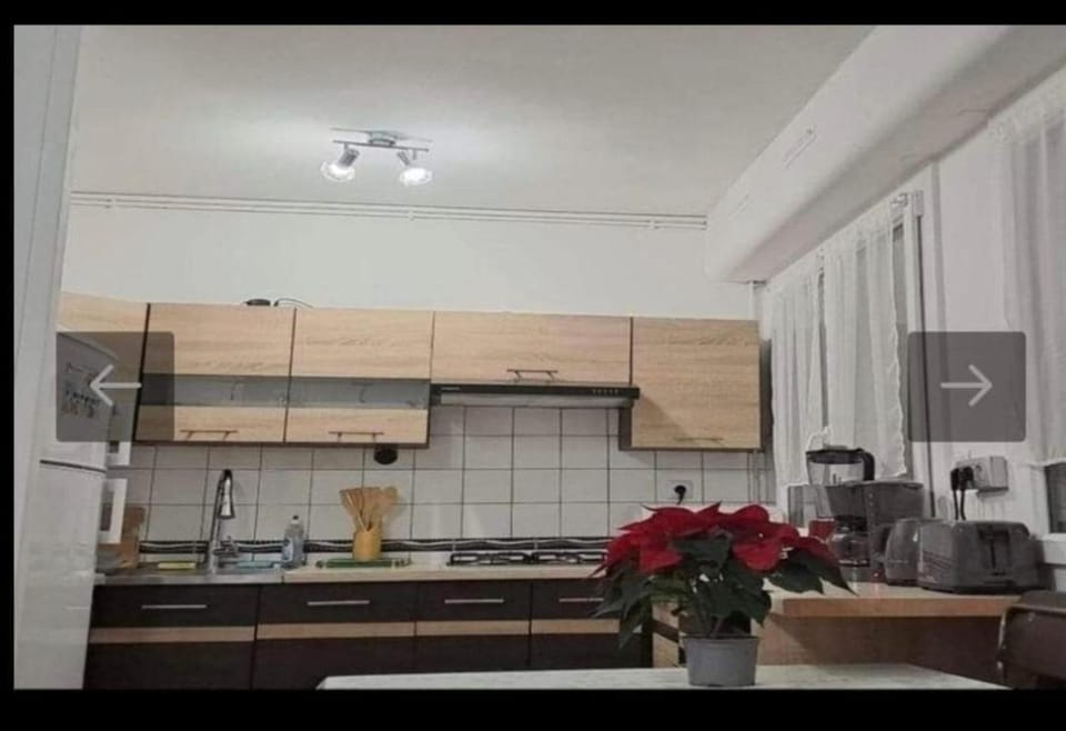Charmant T2 a deux pas des Thermes Apartment in Bagnoles de l'Orne Normandie