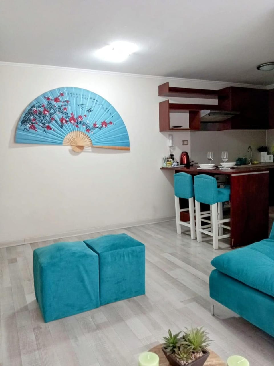 Departamento en Santiago Centro Apartment in Santiago