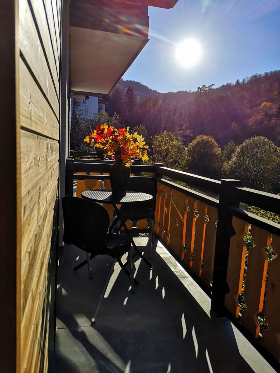 View (from property/room)
