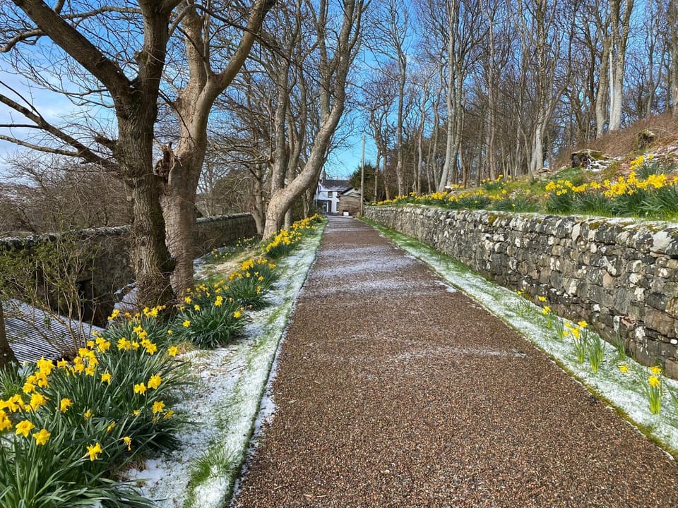 Spring, Natural landscape, Garden, Garden view