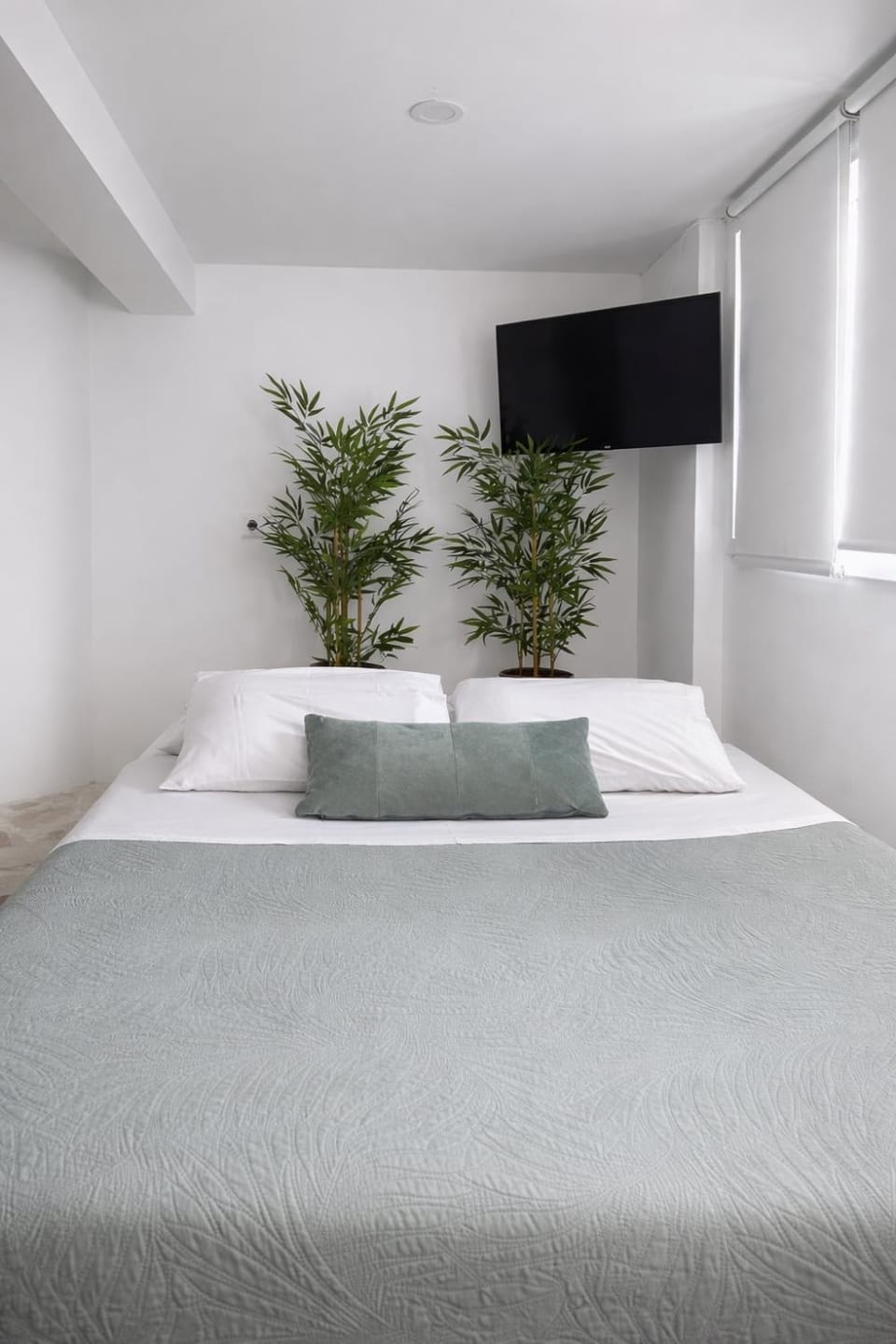 Olive tree studio ,Corfu Town Apartment in Corfu