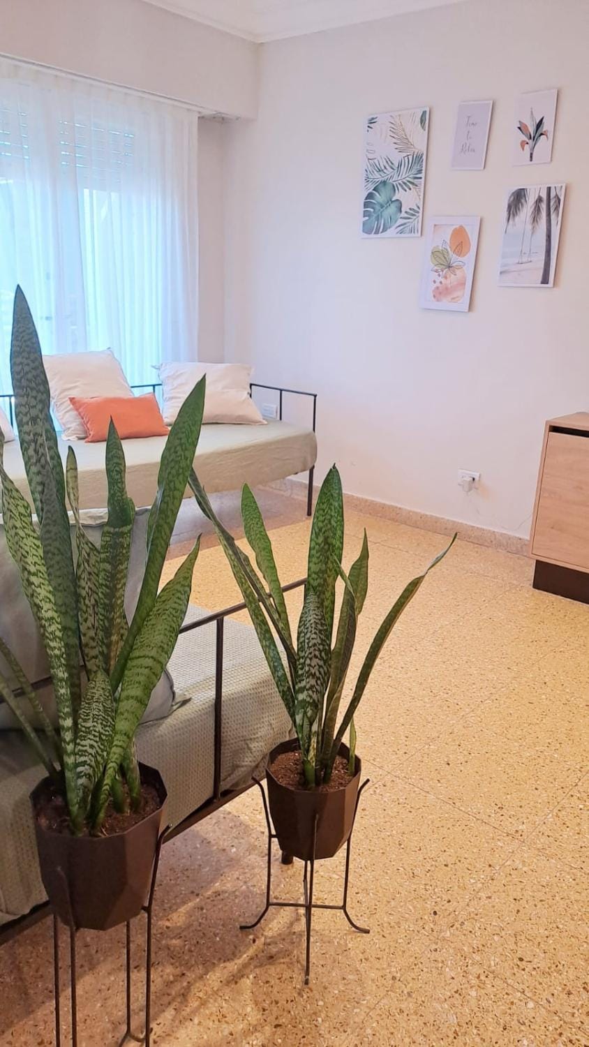 Communal lounge/ TV room, Living room, Bedroom