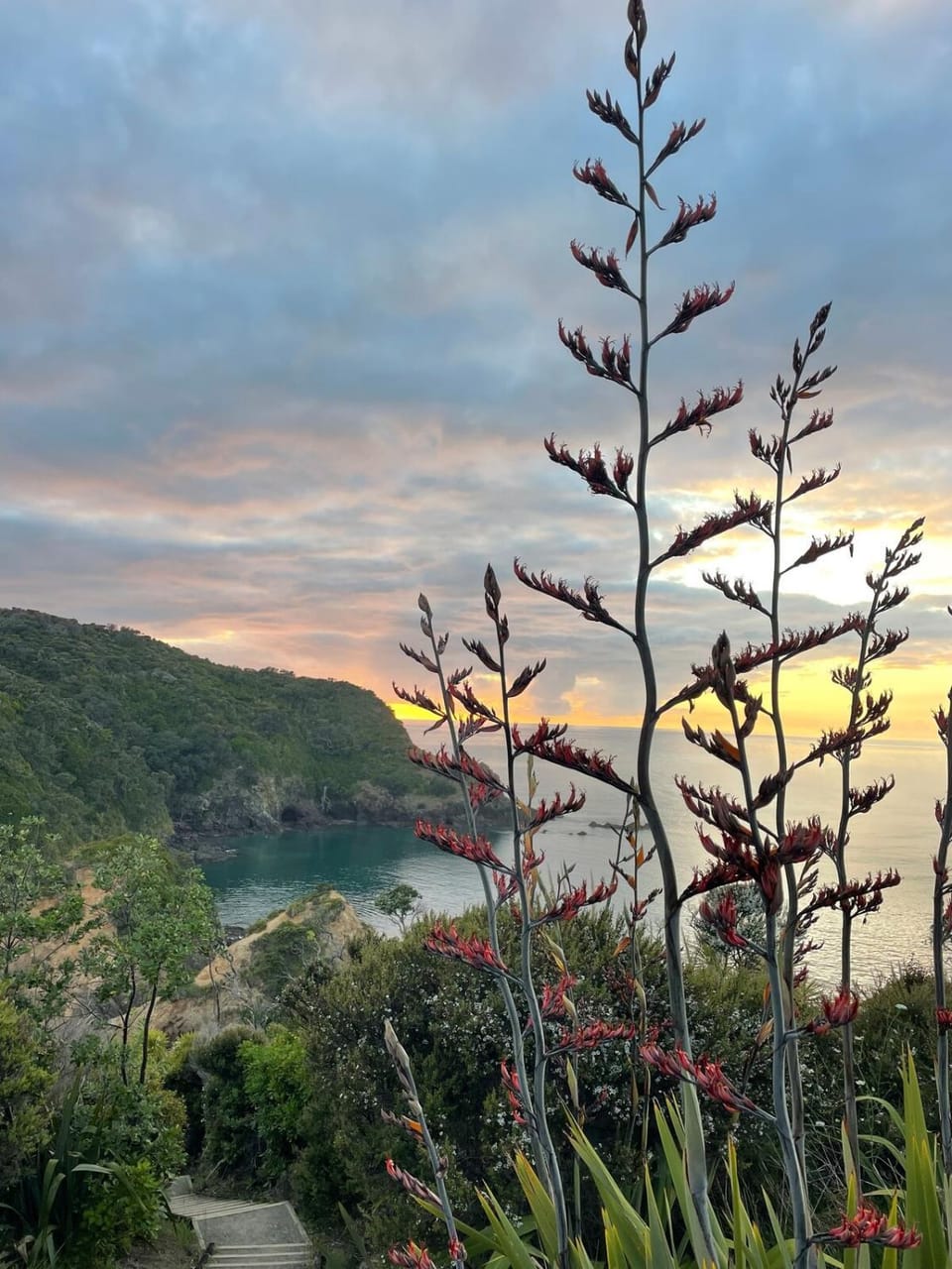 Natural landscape