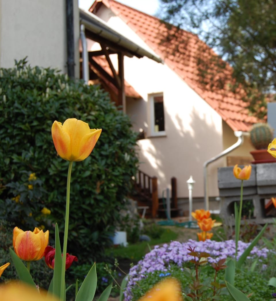 Spring