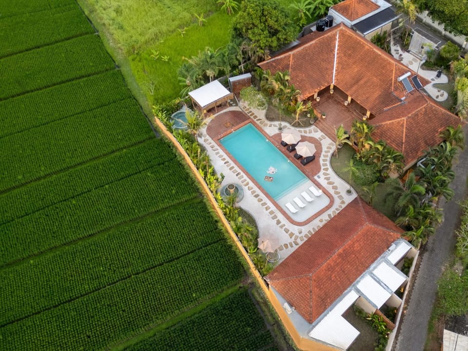 View (from property/room)