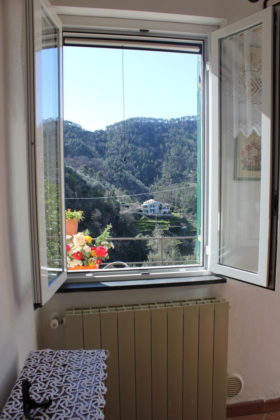 View (from property/room)