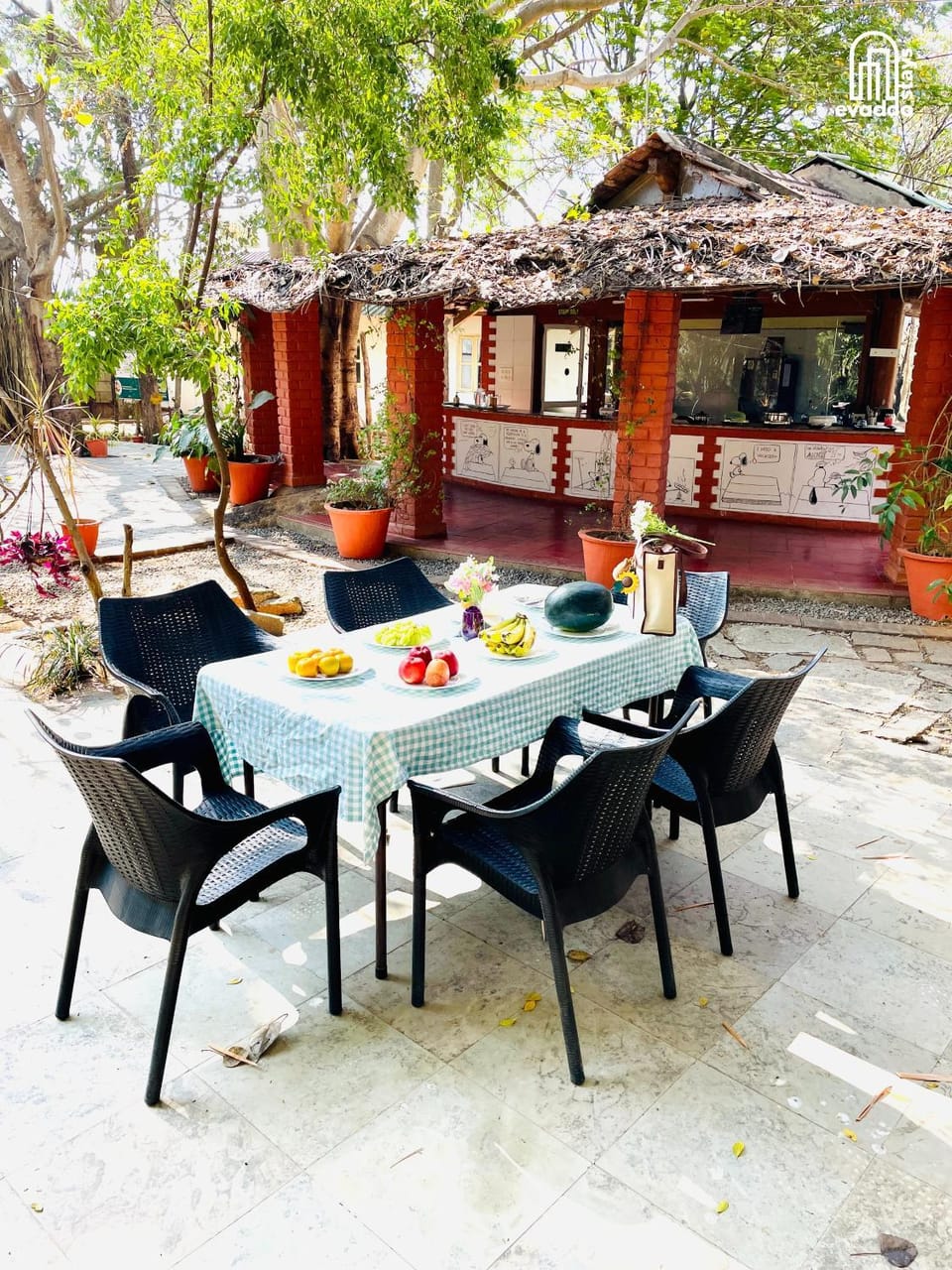 Food and drinks, Dining area
