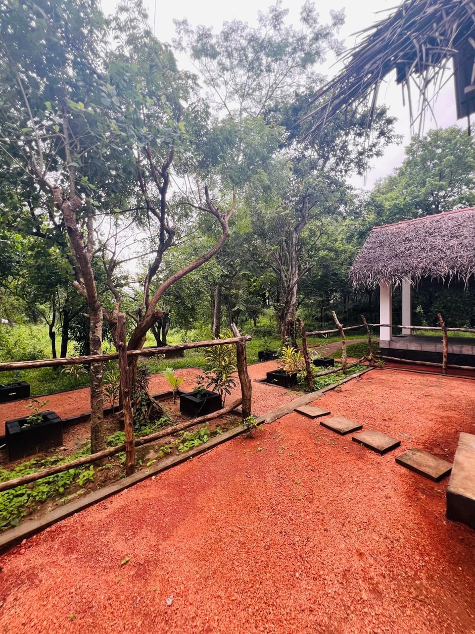 Garden view