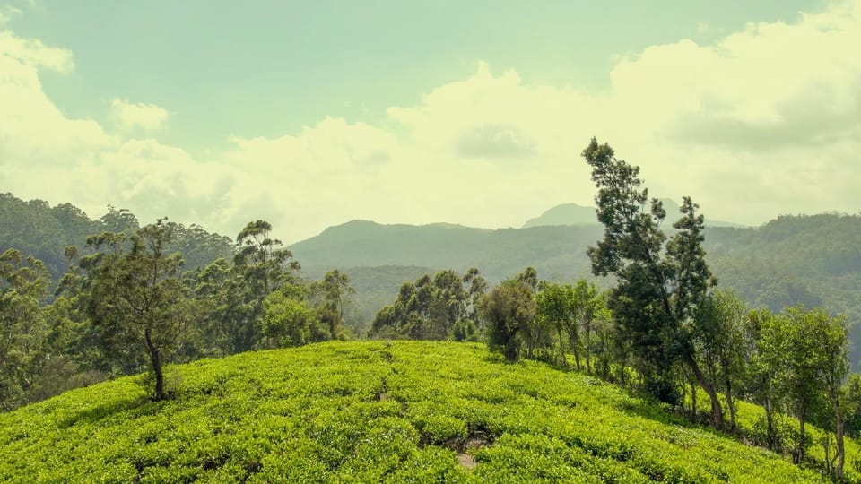 Natural landscape
