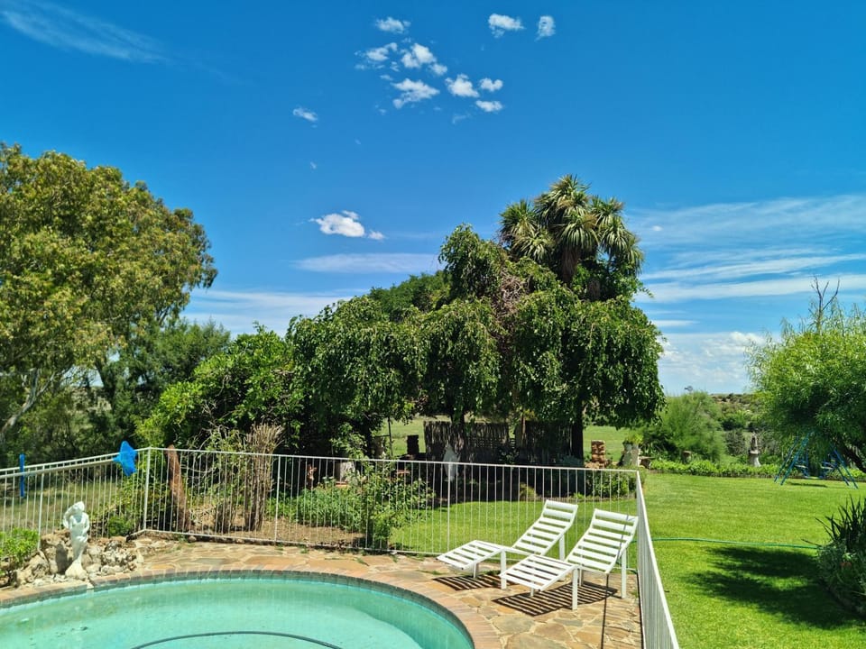 Garden, Swimming pool, sunbed