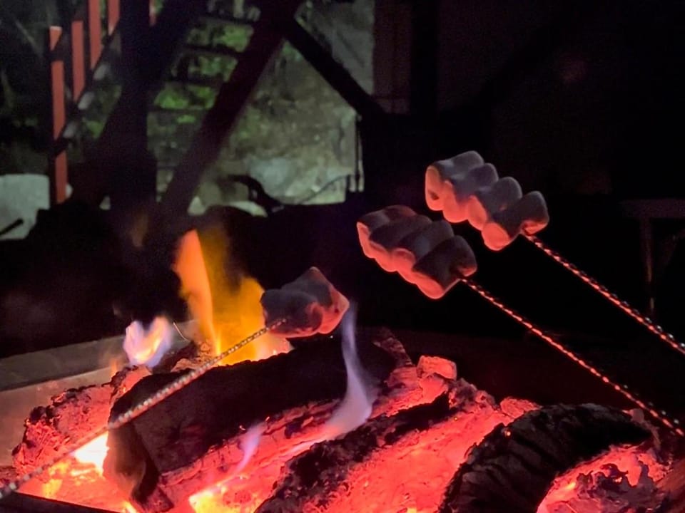 Night, BBQ facilities