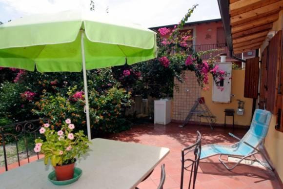 Garden view
