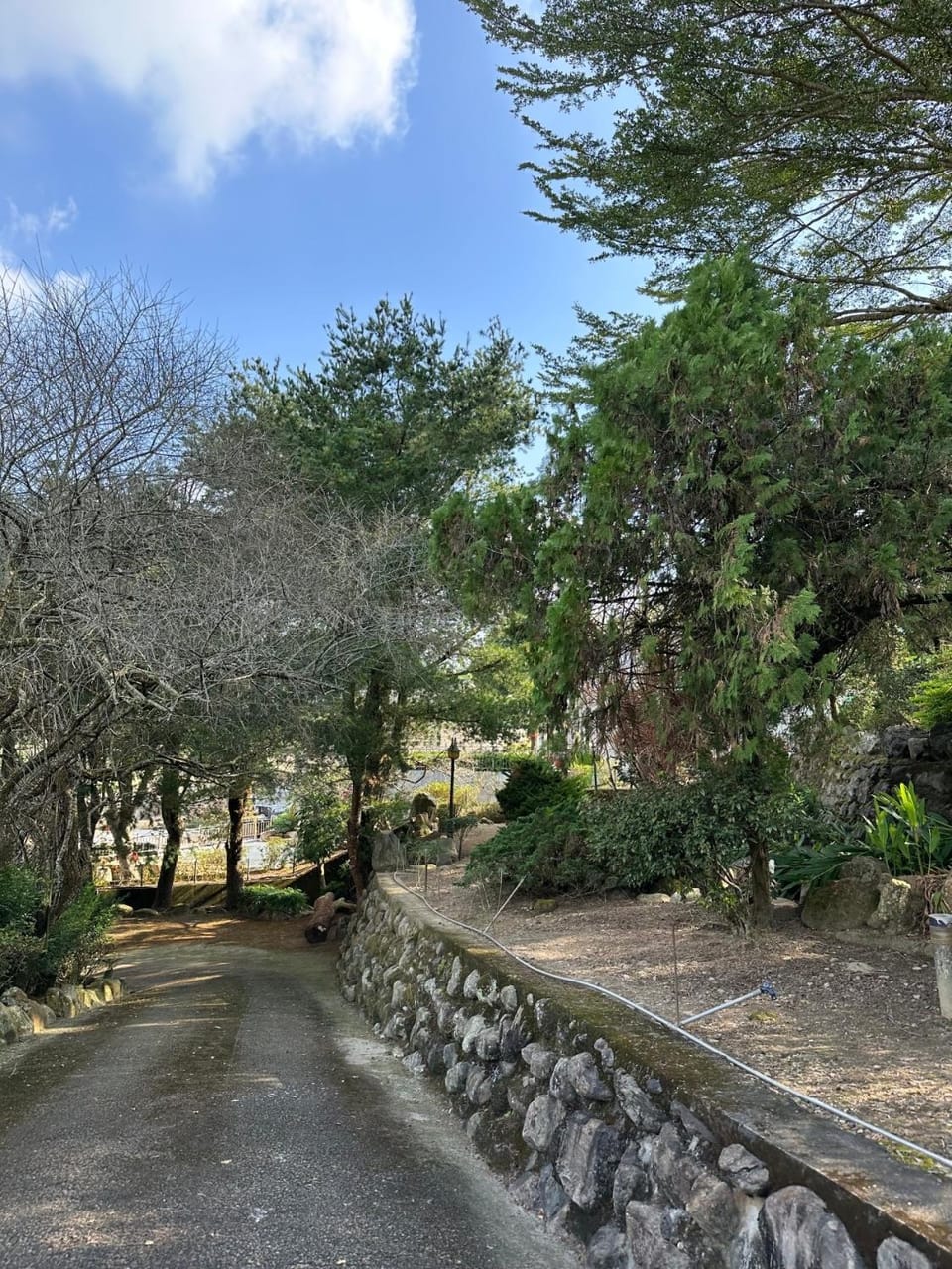 Property building, Garden view