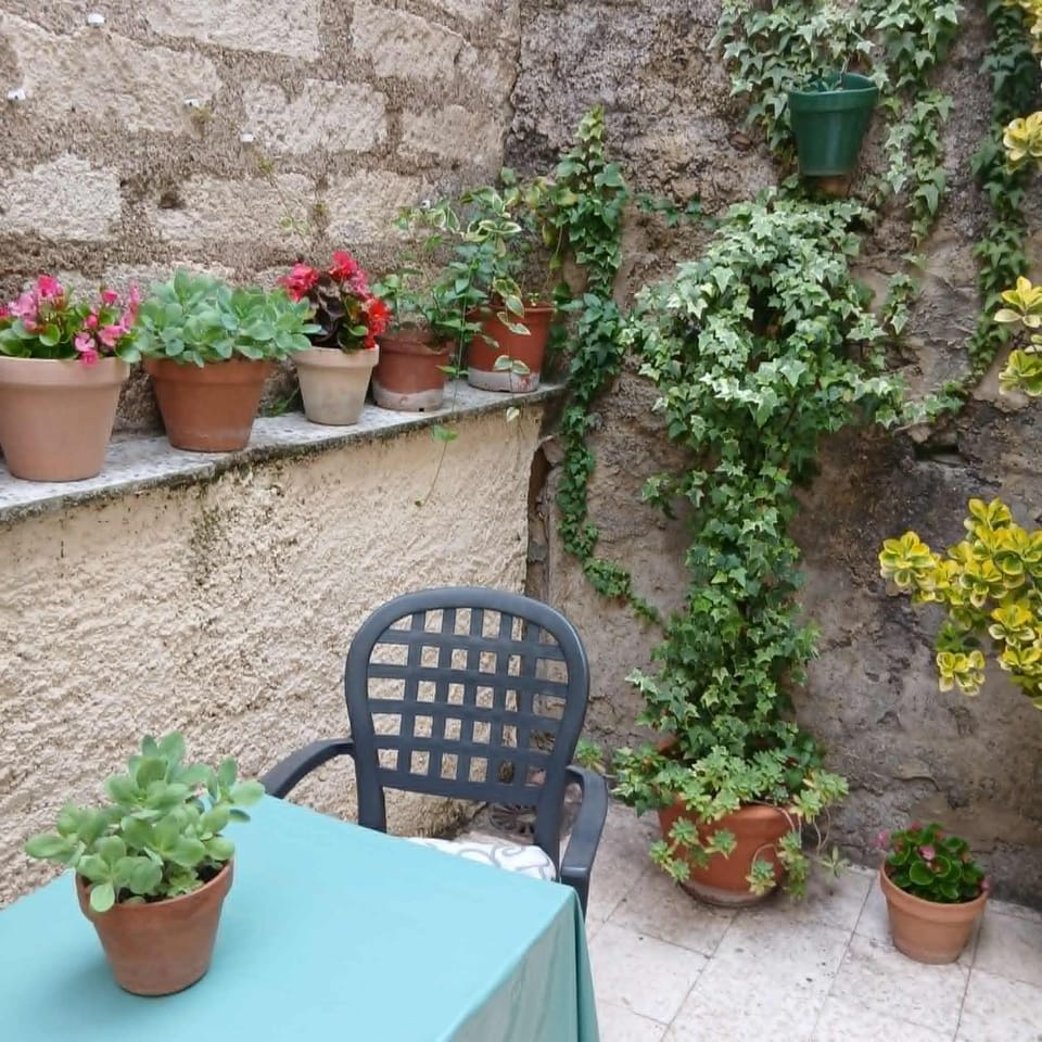 Terrasse fleurie Apartment in Pézenas