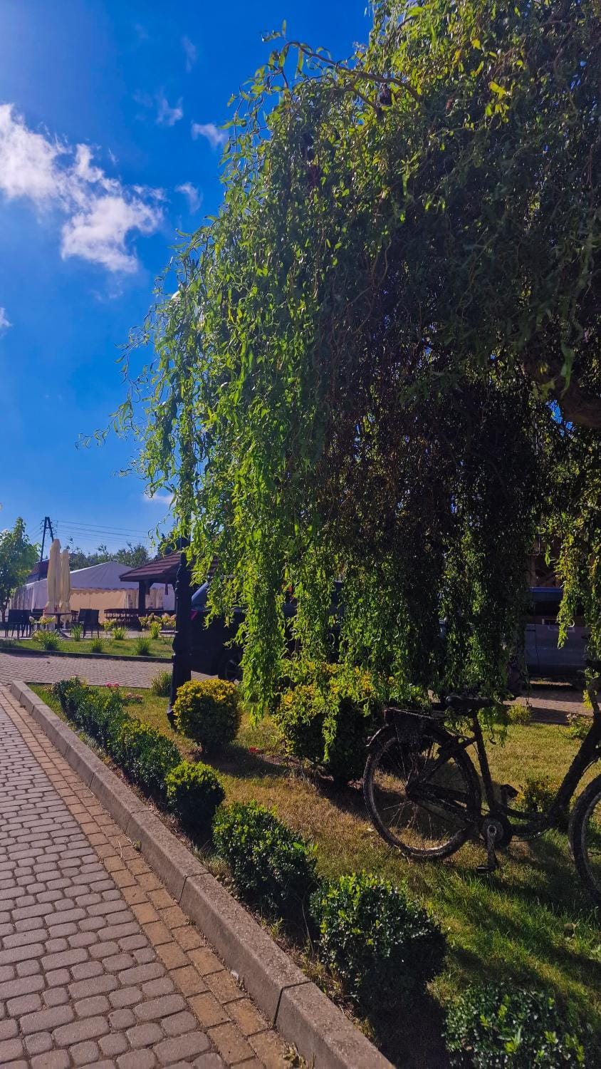 Property building, Day, Natural landscape