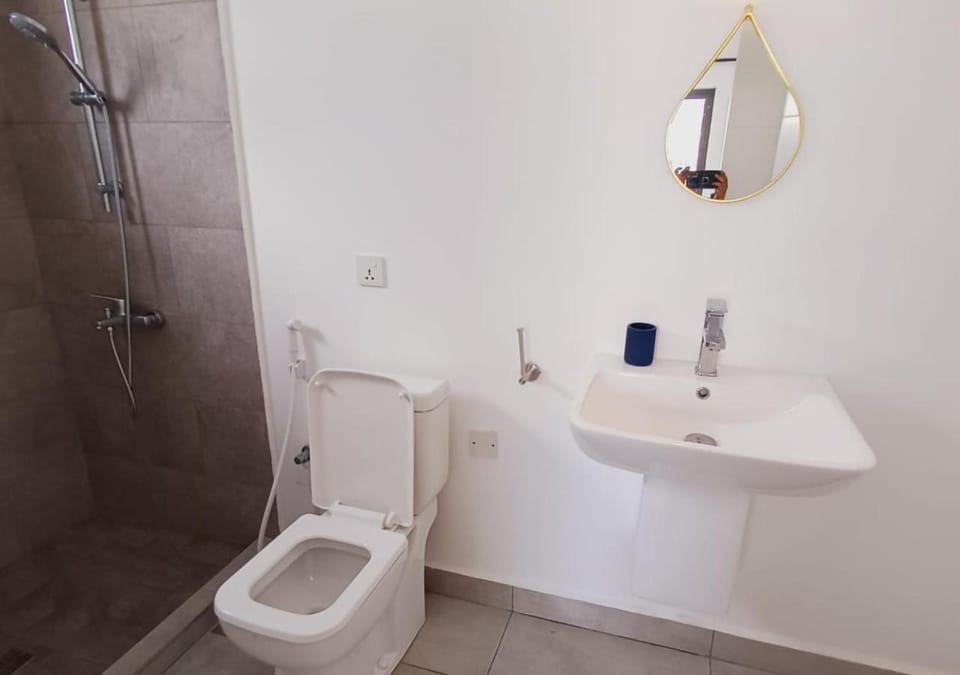 Shower, Toilet, Bathroom, bidet