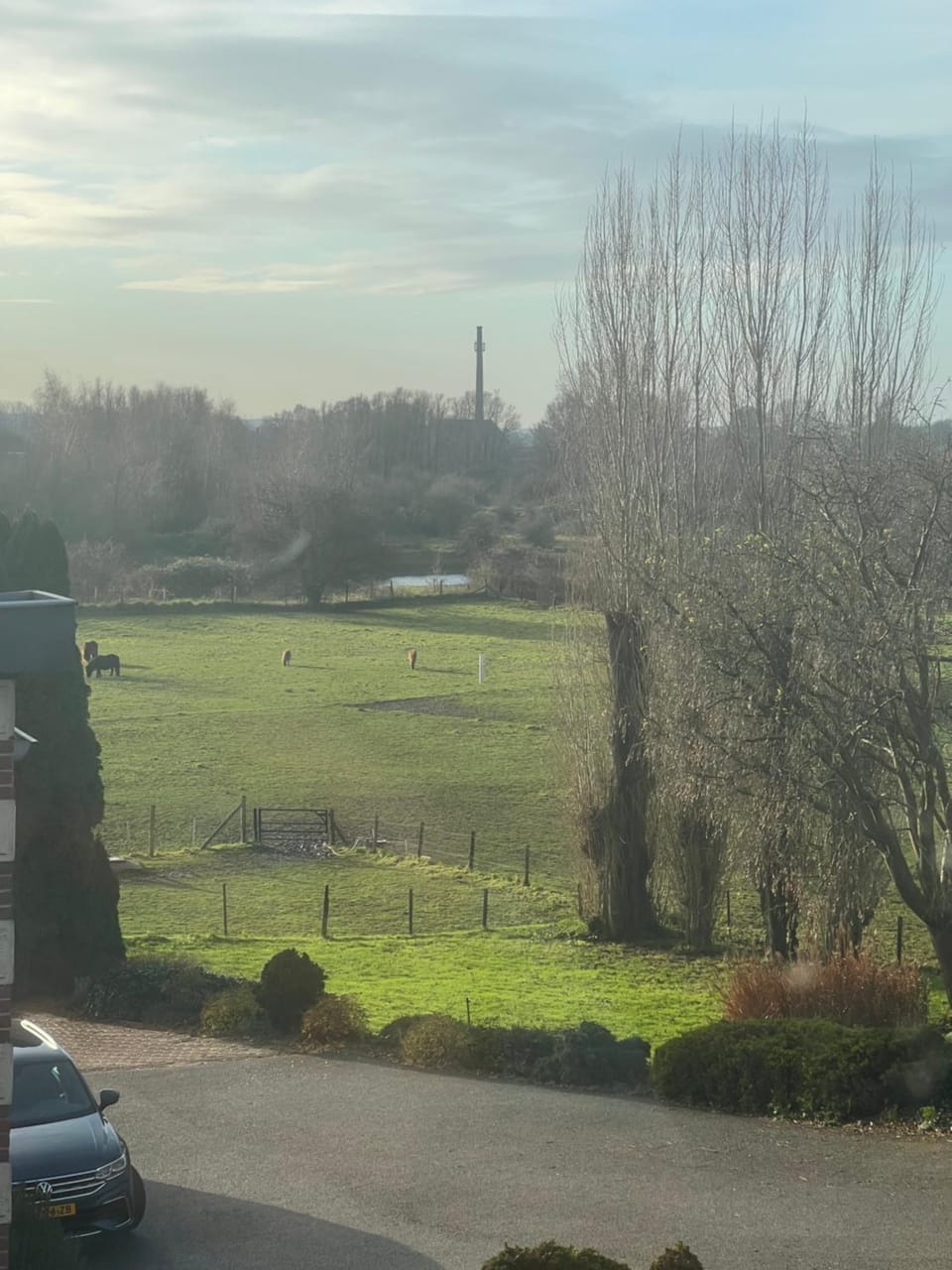 Neighbourhood, Natural landscape, Garden view