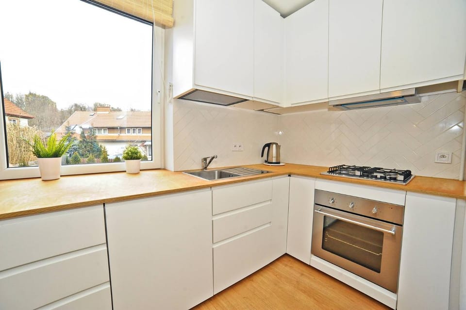 Kitchen or kitchenette, dishwasher, stove