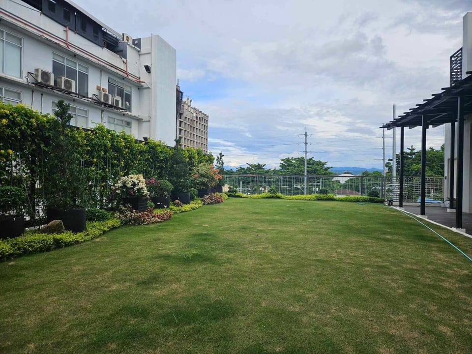 Day, Natural landscape, Garden, Garden