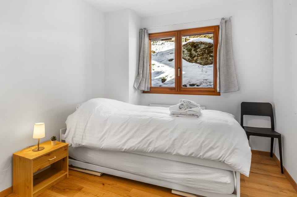 Appartement ski aux pieds - domaine des 4 Vallées Apartment in Canton of Valais