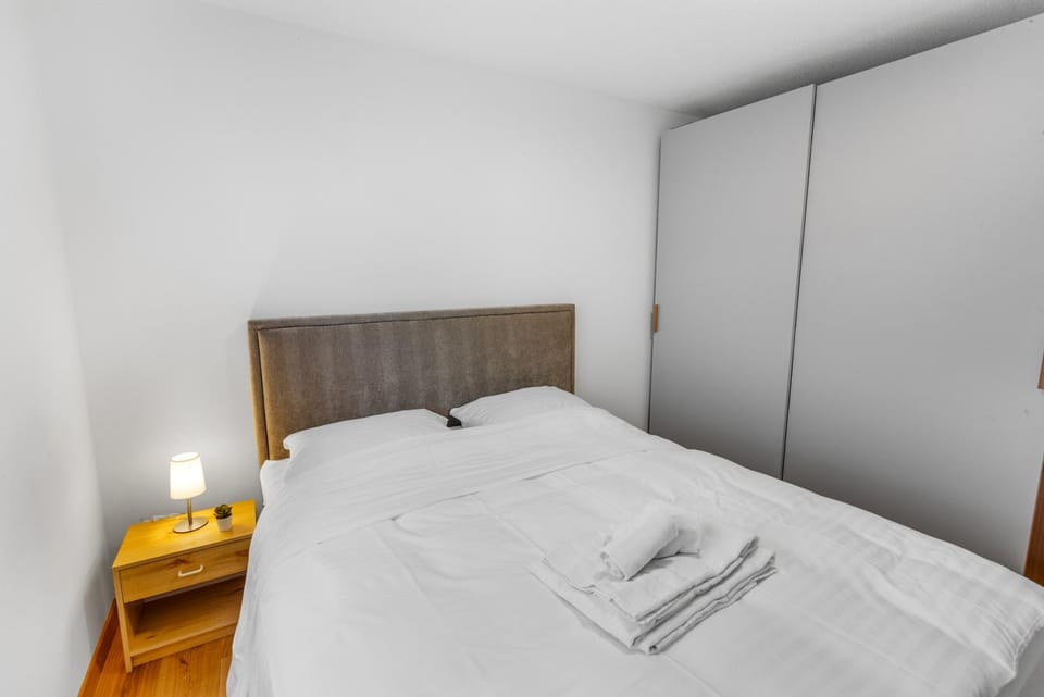 Appartement ski aux pieds - domaine des 4 Vallées Apartment in Canton of Valais