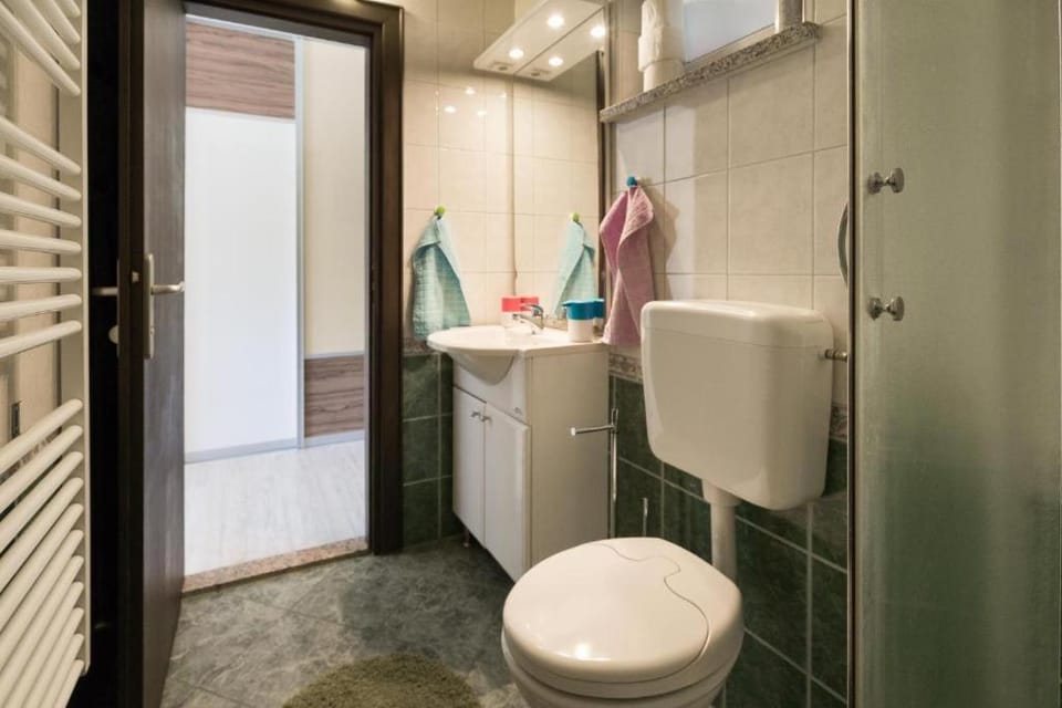 Shower, Toilet, Bathroom, towels