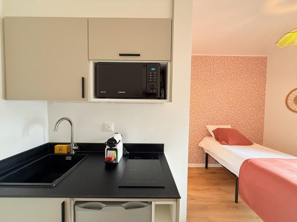 M091 Joli studio Faucigny Apartment in Annemasse