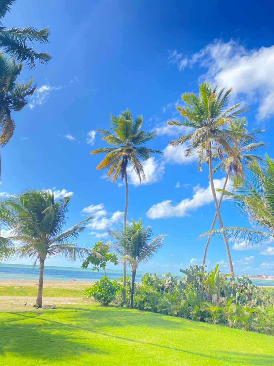 Nearby landmark, Day, Natural landscape, Garden, Beach, Garden view, Sea view