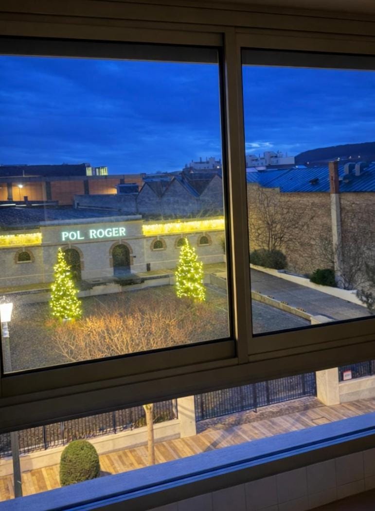 Le 21 Avenue de Champagne Apartment in Epernay