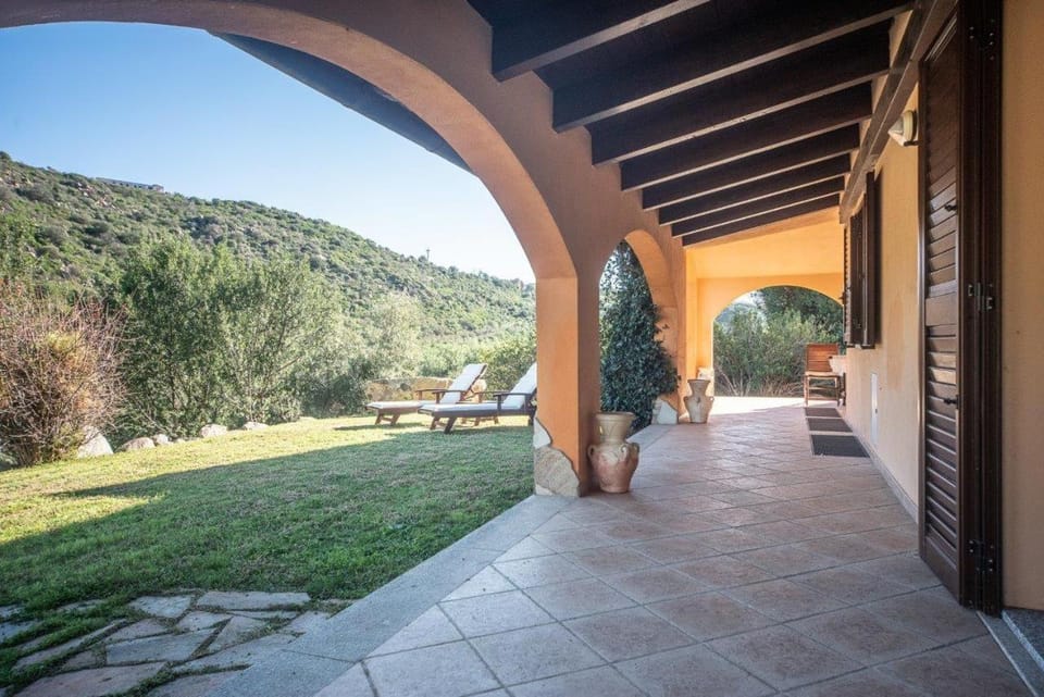Patio, Garden