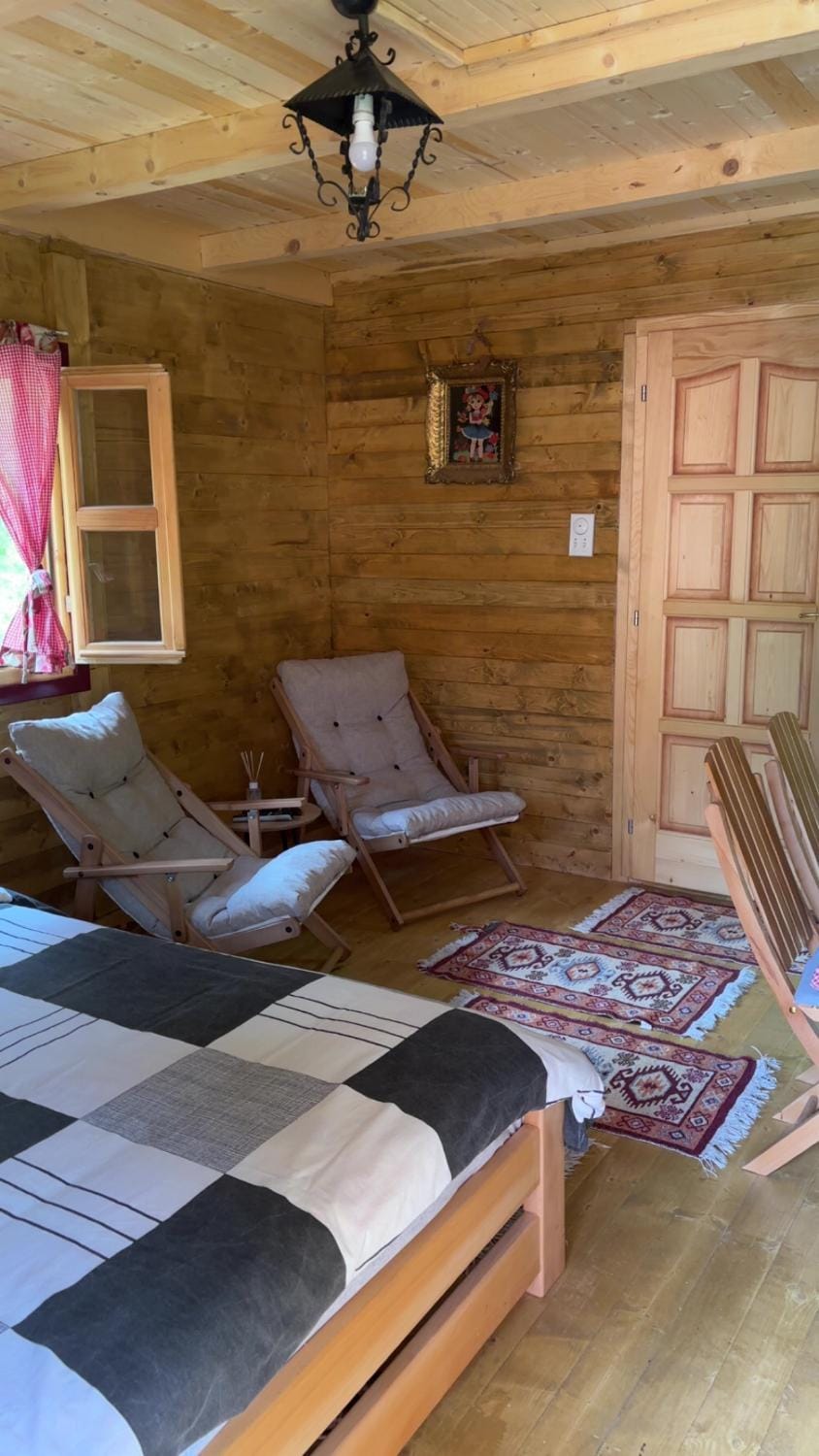 Brvnara Novičić Apartment in Serbia