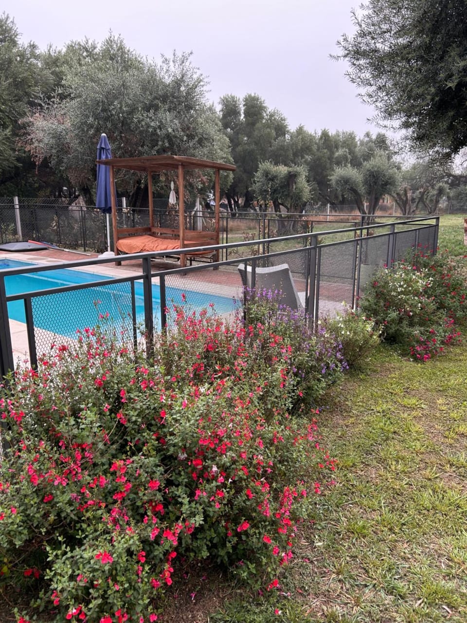 "Rincón de Olivos" Alojamiento entero en complejo con piscina House in San Luis Province, Argentina
