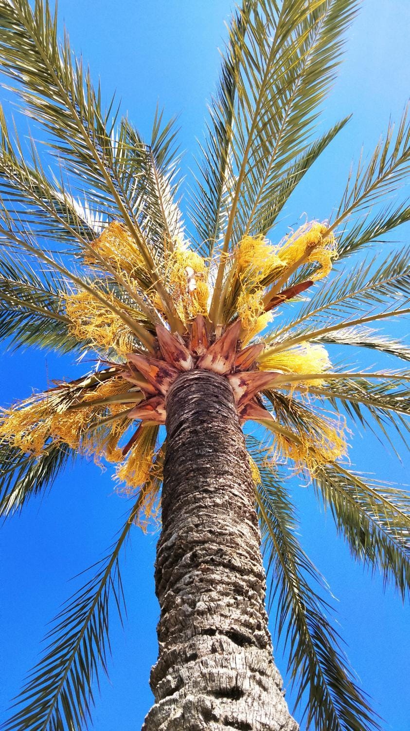 Proche mer charmant appartement Apartment in Roquebrune-Cap-Martin