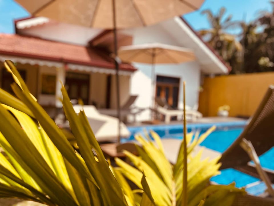 Kingz Kottage Bed and Breakfast in Negombo