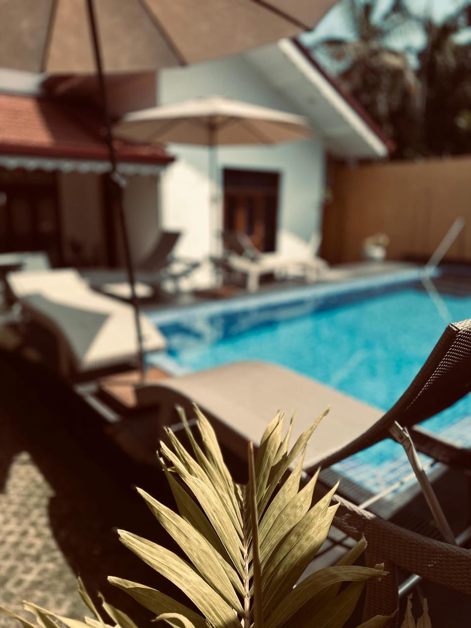 Kingz Kottage Bed and Breakfast in Negombo