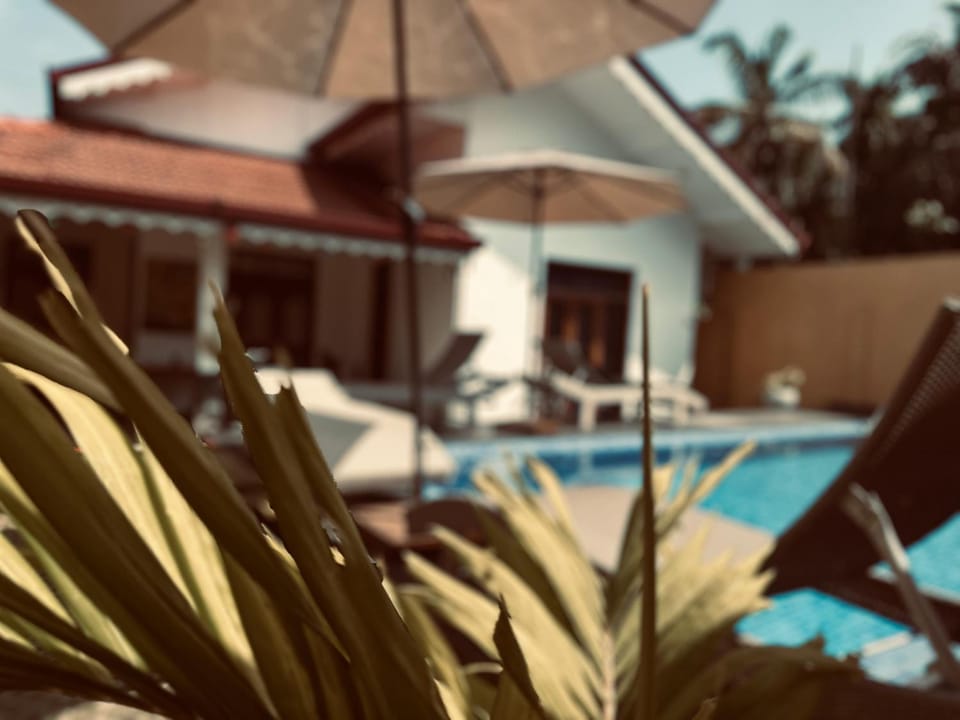 Kingz Kottage Bed and Breakfast in Negombo
