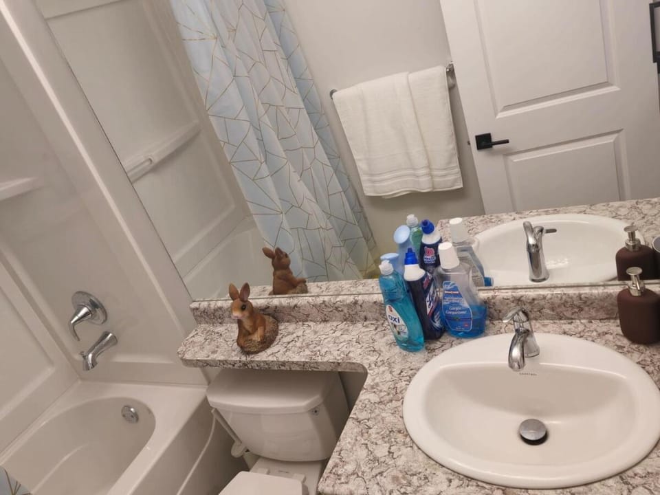 Guest Basement suite in Winnipeg Apartment in Winnipeg