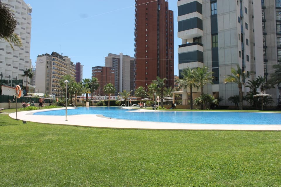 Garden, Swimming pool