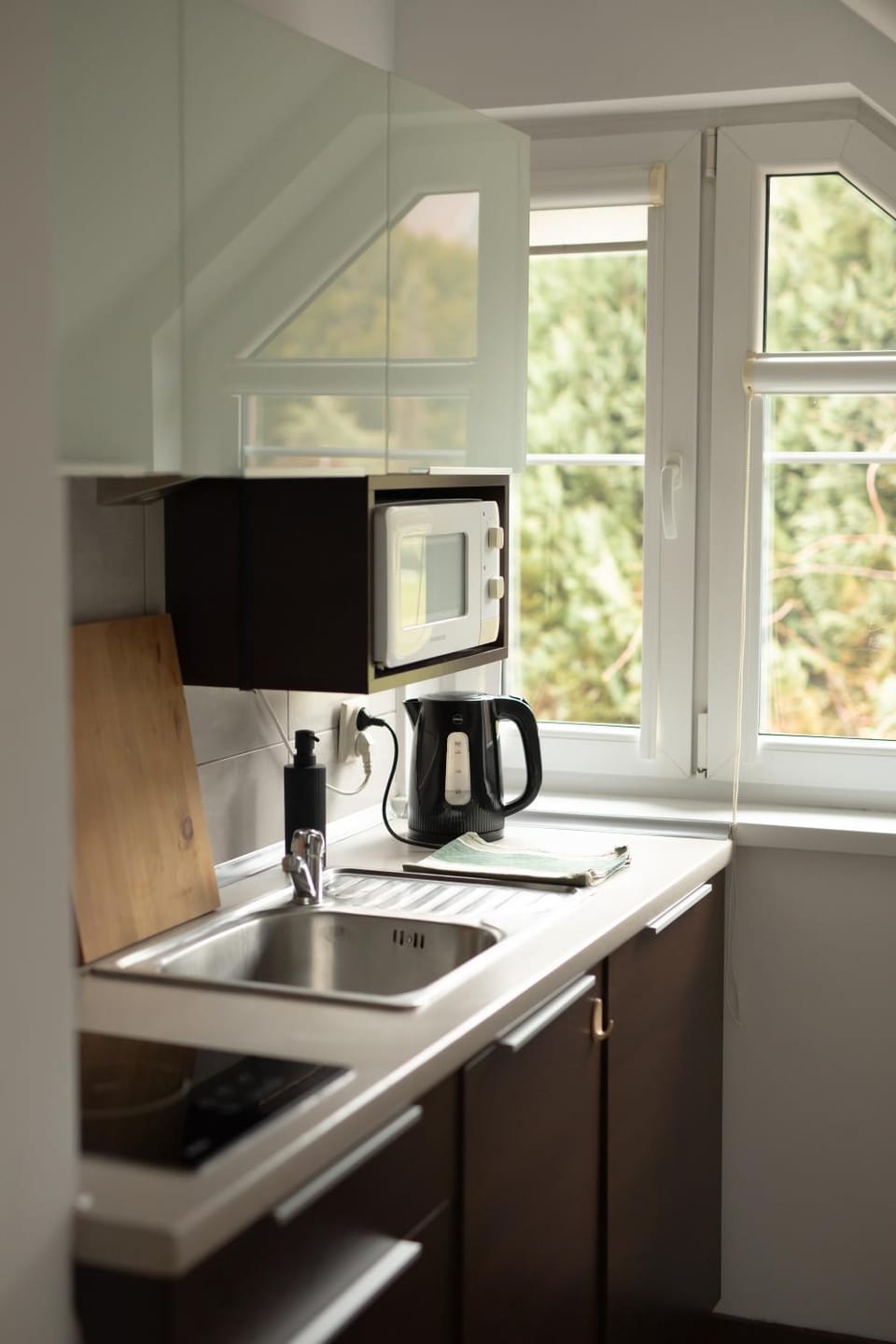 Kitchen or kitchenette, microwave, stove, stove