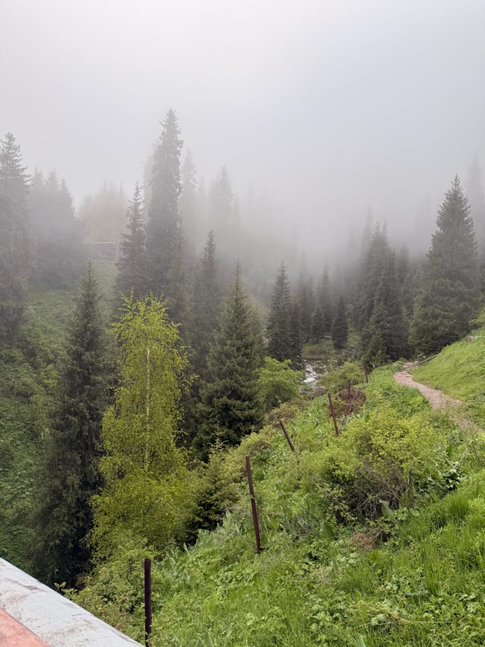 Villa Mountain Medeu Apartment in Almaty