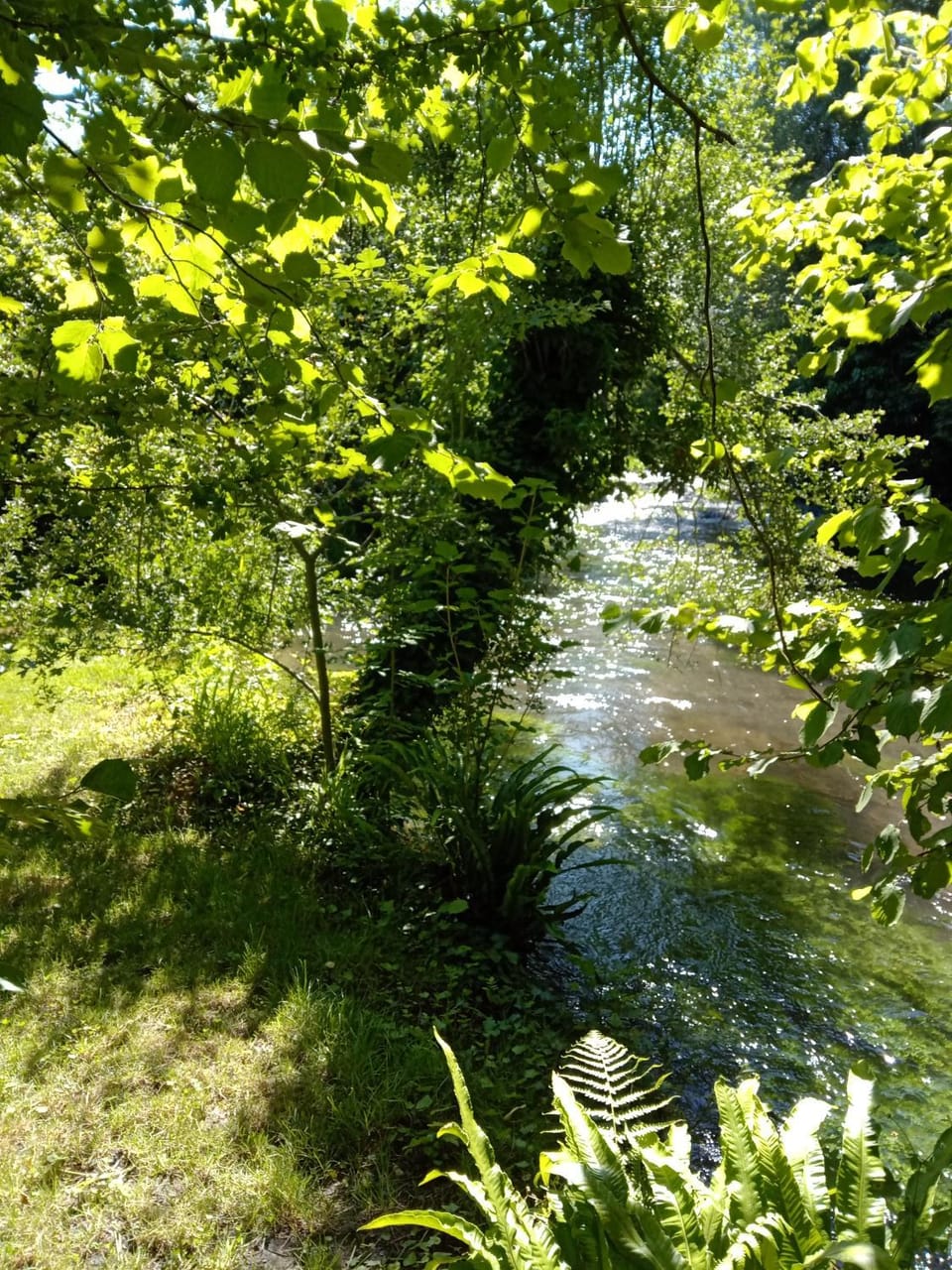 Le Charme au Fil de l'eau Bed and Breakfast in Hauts-de-France