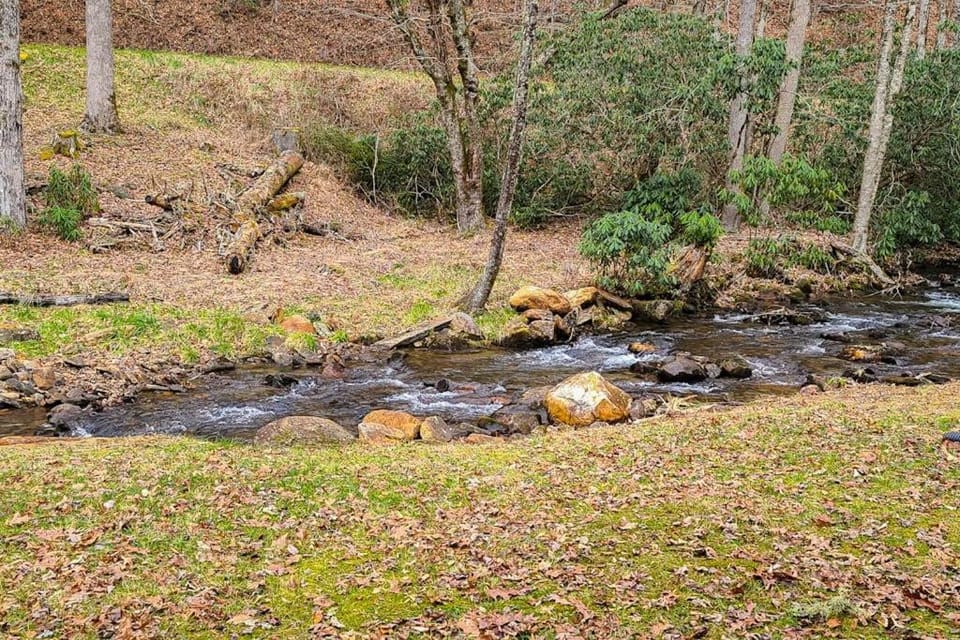 The Rushing Creek Cabin Cabin in Nantahala