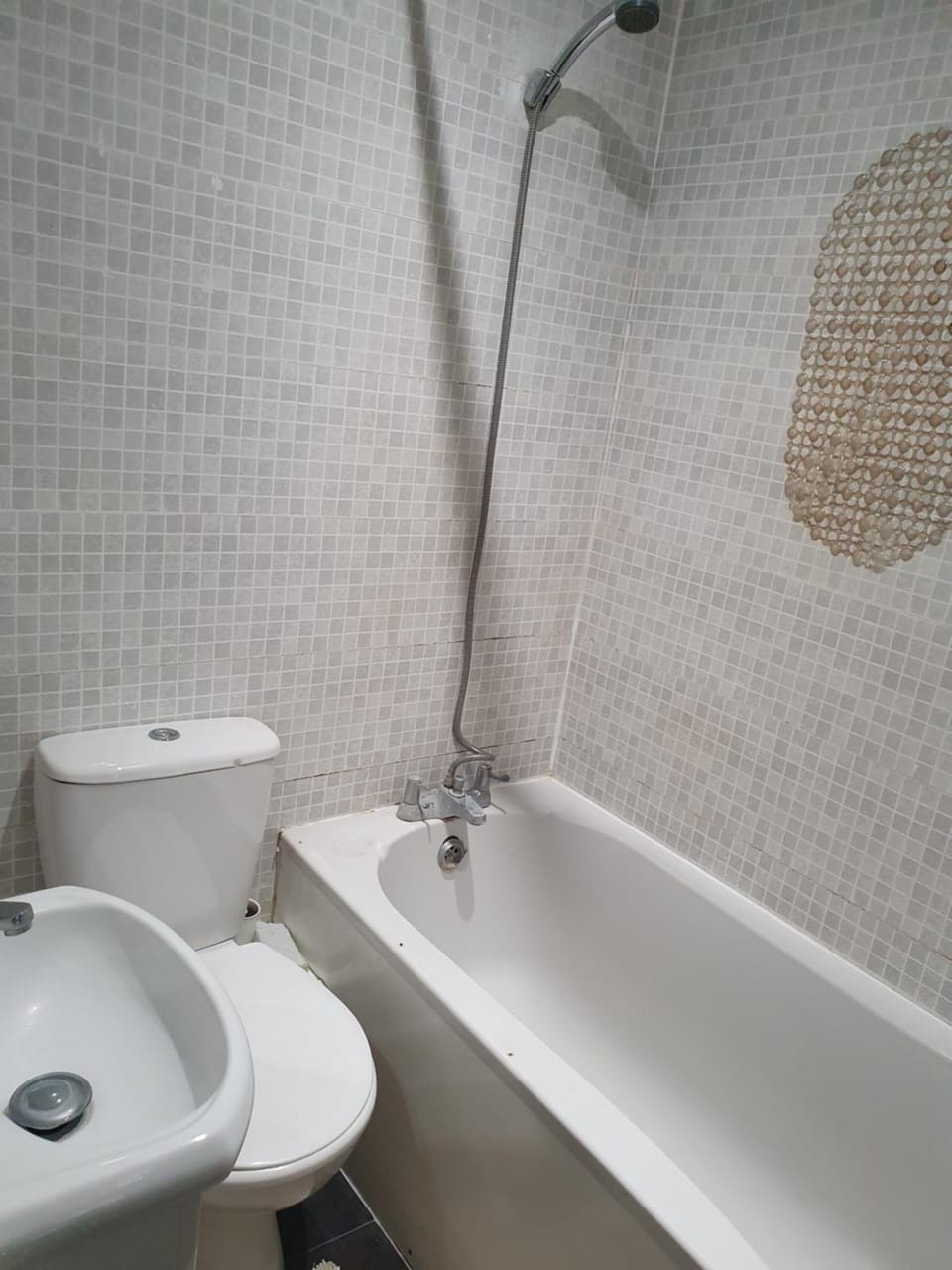 Shower, Toilet, Bathroom, Bath