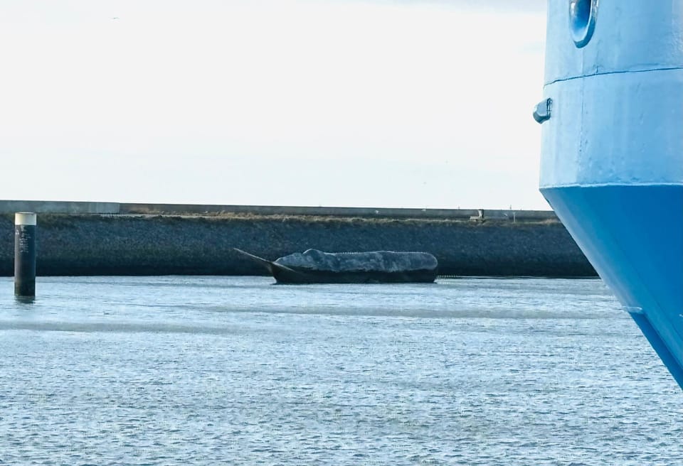Activities, Sea view